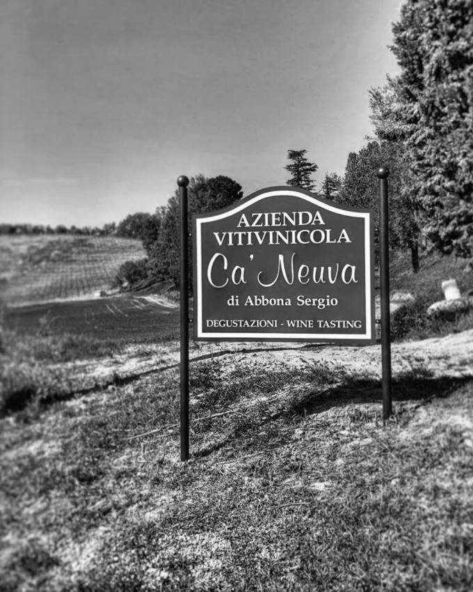 vino nelle langhe - Cantine da visitare ad Alba